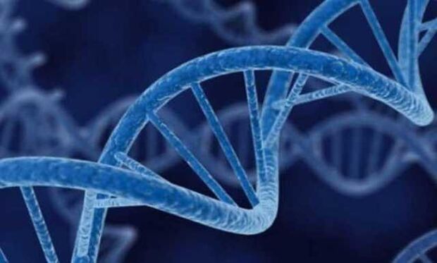 DNA